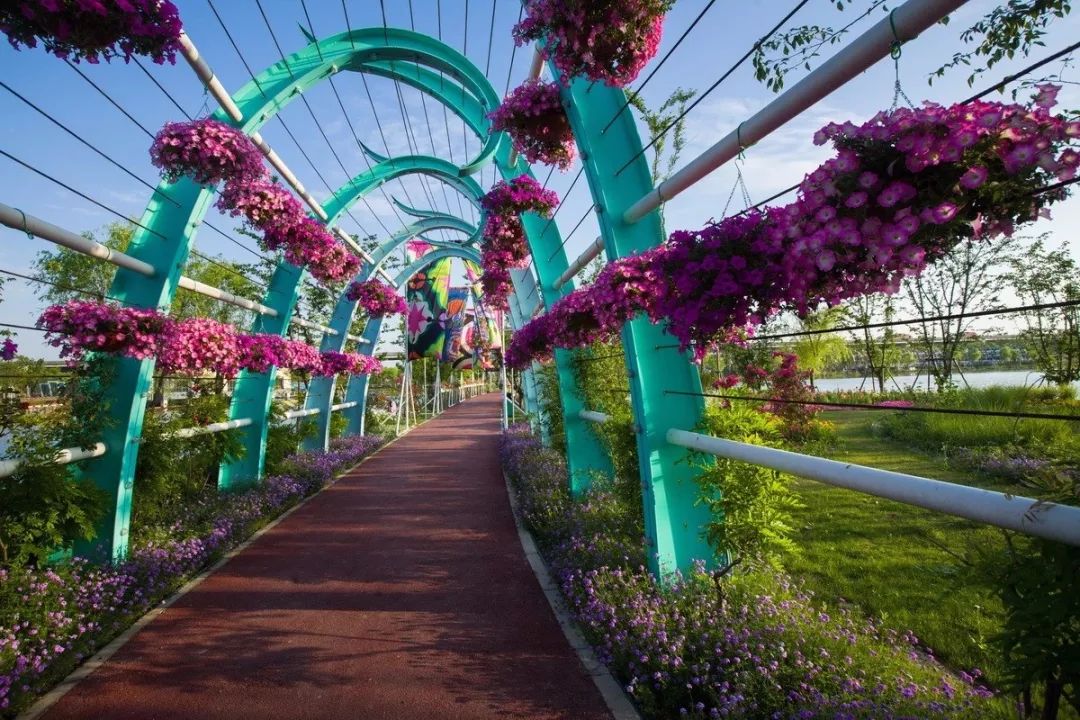 上海有个很美的公园,上海特别美而且安静的公园