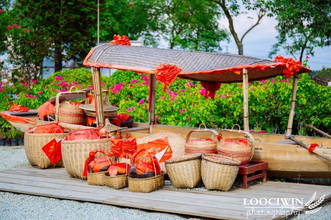 第一次采摘火龙果的体验,高明采摘火龙果