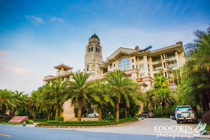 第一次采摘火龙果的体验,高明采摘火龙果