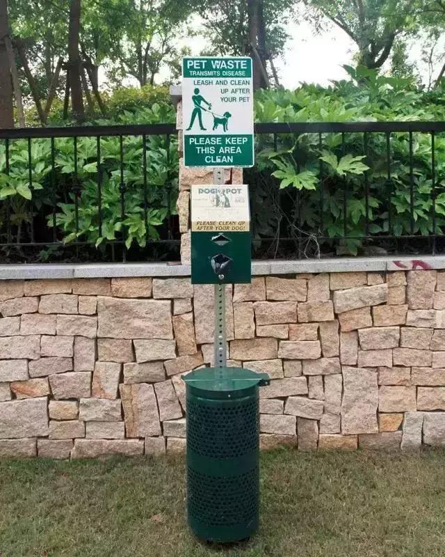 宠物友好五星级酒店,适合带宠物去的酒店