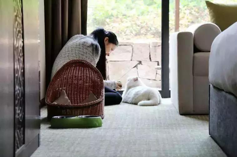 宠物友好五星级酒店,适合带宠物去的酒店