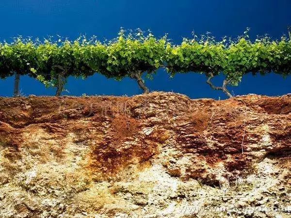 教皇新堡阿克努属于什么档次,教皇新堡属于什么档次