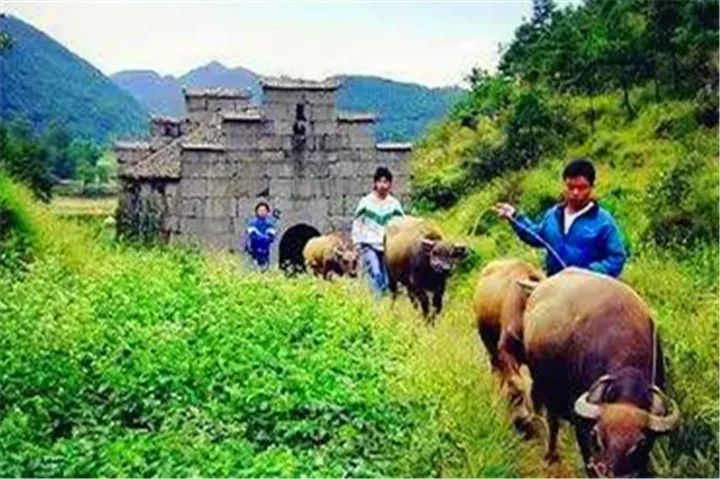 古驿道南粤古驿道,南粤古驿道旅游景点