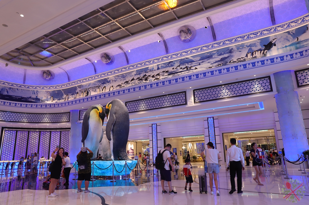 珠海长隆海洋王国企鹅三天两晚,珠海长隆海洋王国企鹅北极熊