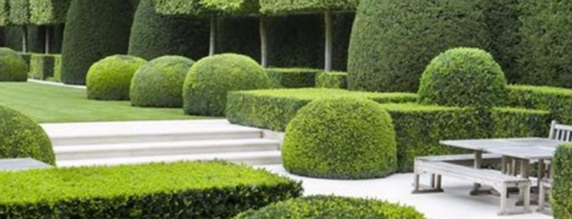 贝嫂推荐比香水还好闻的护手霜,贝嫂同款护手霜