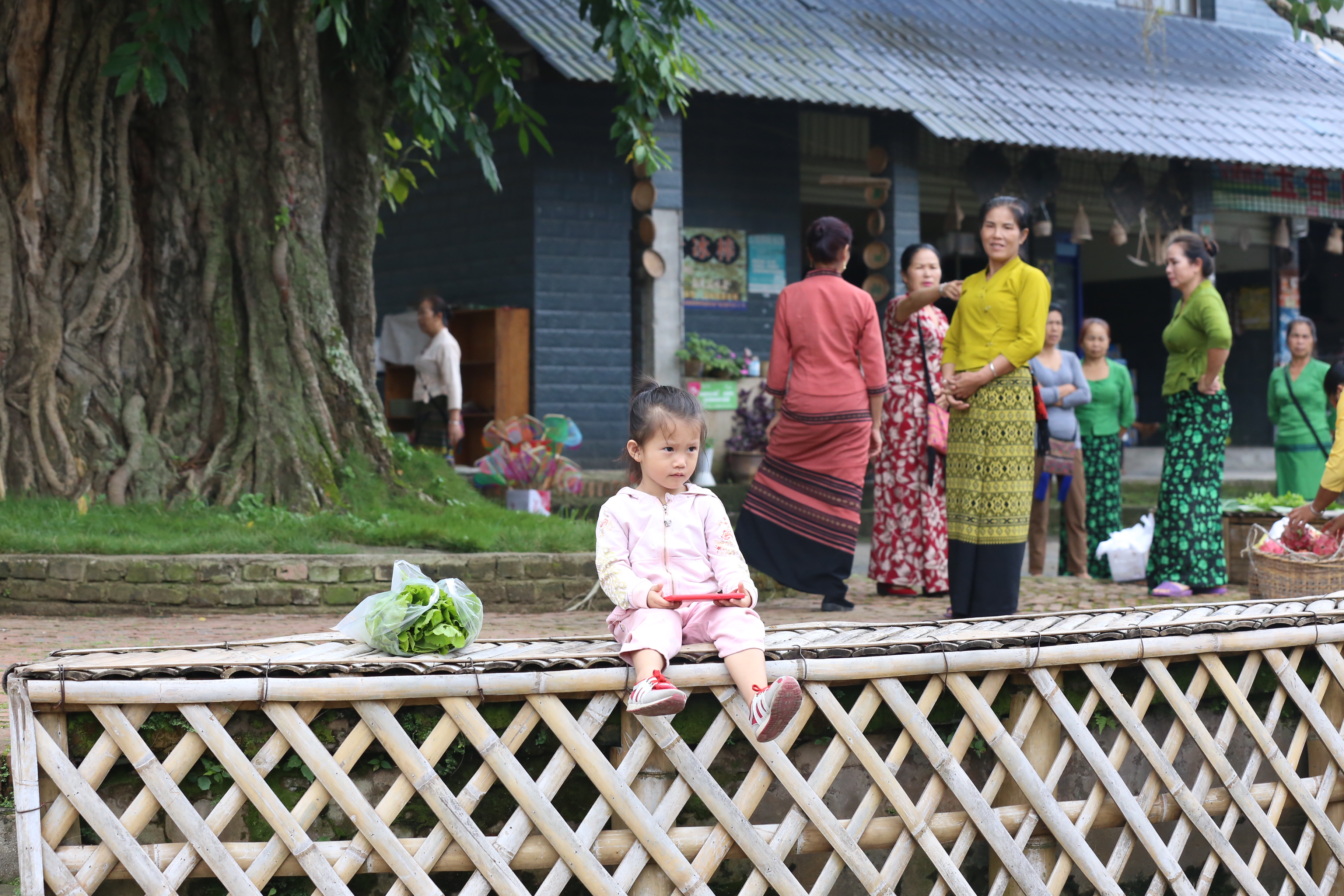 曼掌村,体验原汁原味的傣家风情