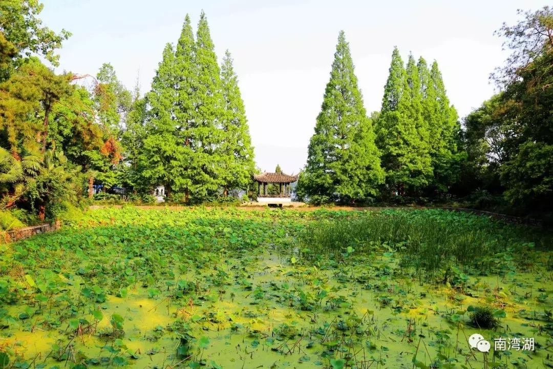 信阳十一自驾游推荐表南湾湖,十一假期旅游推荐信阳自驾游