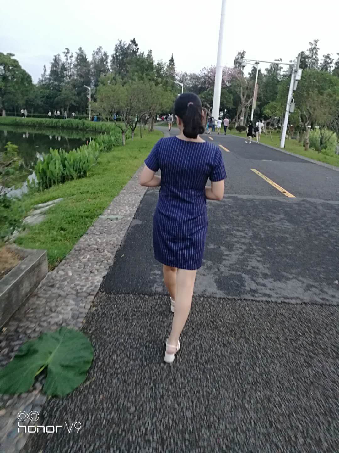 养森瘦瘦包有用过的吗,养森瘦瘦包只有晚上用有效果吗