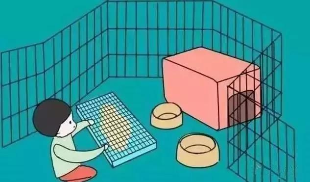 如何让狗狗用狗厕所大小便,怎么让狗狗学会用猫砂盆