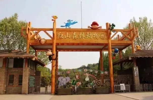 出去人从众,玄武为你安排了身边的风景