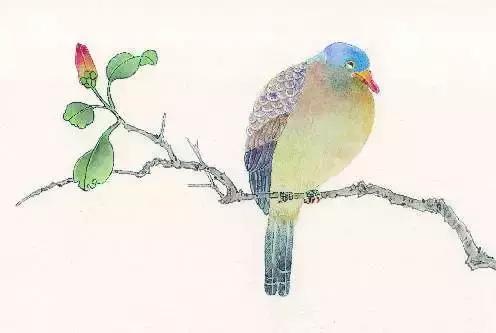 手绘画画教程花朵,手绘教程花