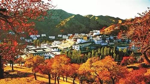 呼和浩特哪个沟秋景好,呼和浩特红石崖秋景