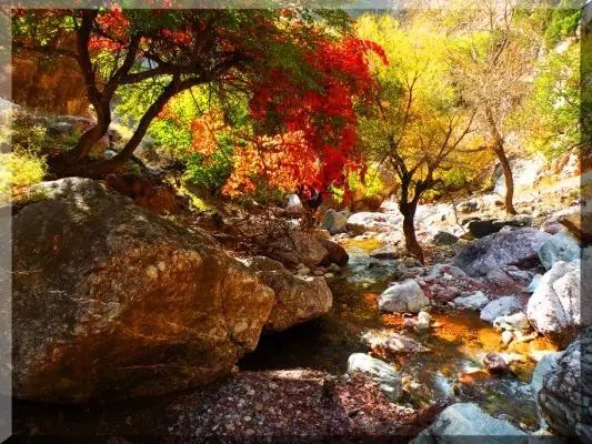 呼和浩特哪个沟秋景好,呼和浩特红石崖秋景