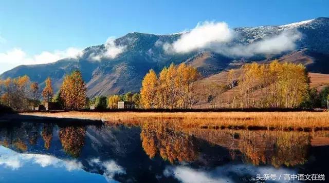 高中生物记忆技巧巧记口诀pdf,高中生物常见的伴性遗传病口诀