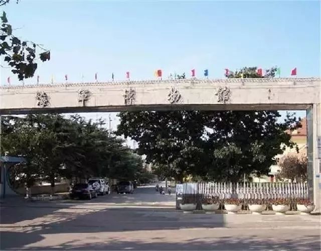 青岛哪个博物馆最值得一去,青岛博物馆最值得去的地方