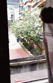 小米平板5和荣耀平板7,7英寸以上的荣耀大屏手机有哪些