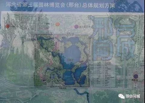 列入“黑名单”！荣盛、天一府、月晟多个项目被查……