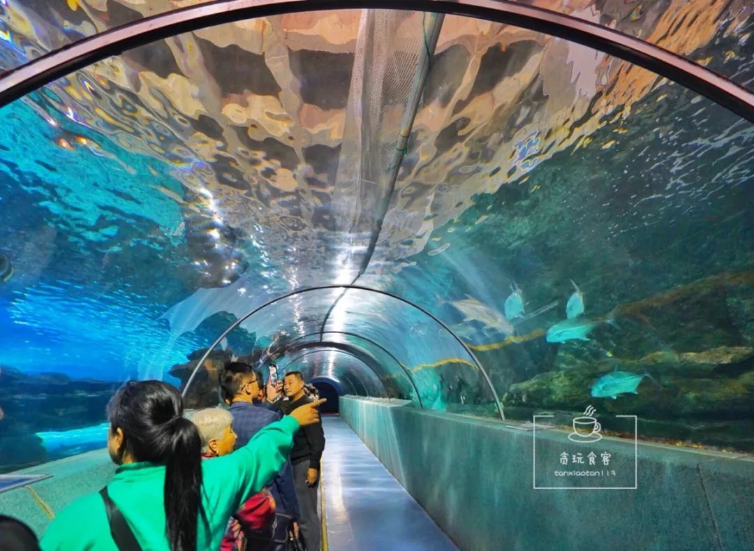 秦皇岛北戴河最值得玩5个地方,秦皇岛北戴河好玩的地方免费