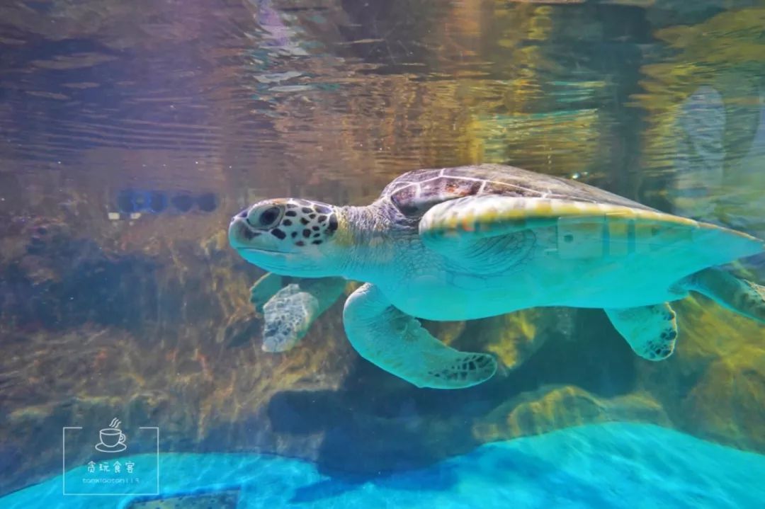 秦皇岛最值得去的旅游景点有哪些,秦皇岛值得玩的地方秋天