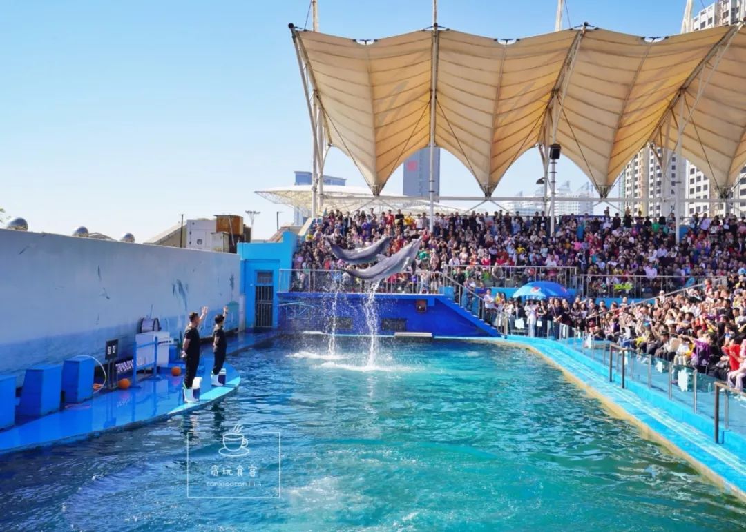 秦皇岛旅游攻略夜景,秦皇岛旅游攻略这几个景点必去