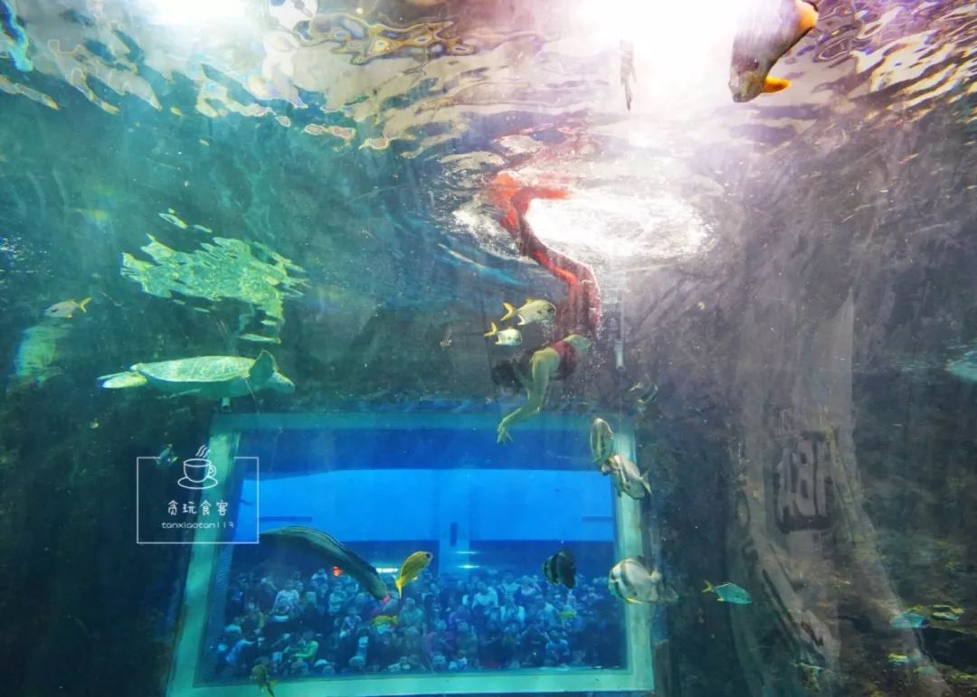 秦皇岛北戴河区必玩的十大景点,秦皇岛北戴河旅游详细攻略