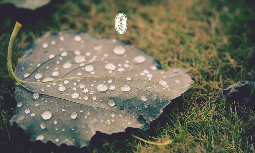 寒露古诗词名句,古诗寒露七言诗句