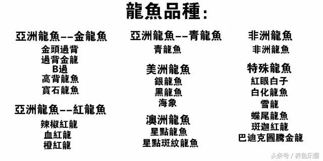 龙鱼的几个品种介绍图,各个品种的龙鱼图片
