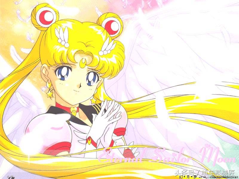 这五辆自行车,看起来很美好,实则很糟糕,还有个轮组杀死了野兔