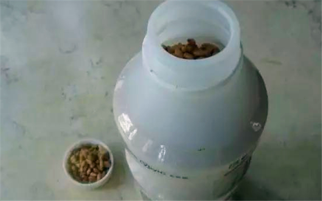 蜂蜜钓鲫鱼的正确方法,钓鲫鱼最佳诱饵是什么