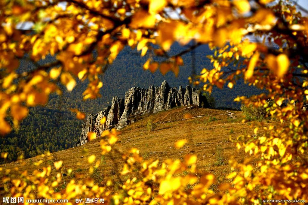 白朴的关于秋天的诗,白朴的关于秋天的诗句