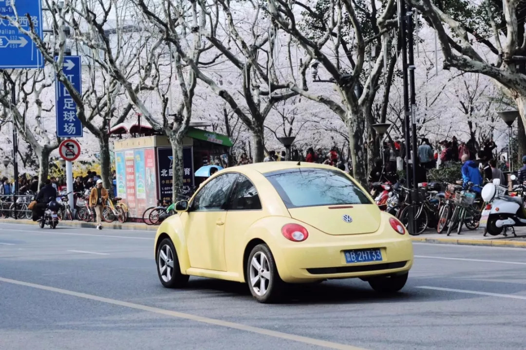 上海地铁3号线沿线美食,上海美食小吃一条街必打卡