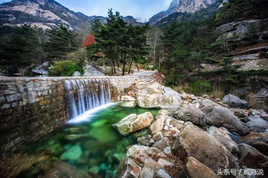 威海赏樱最佳打卡地,威海几月份去风景最好看