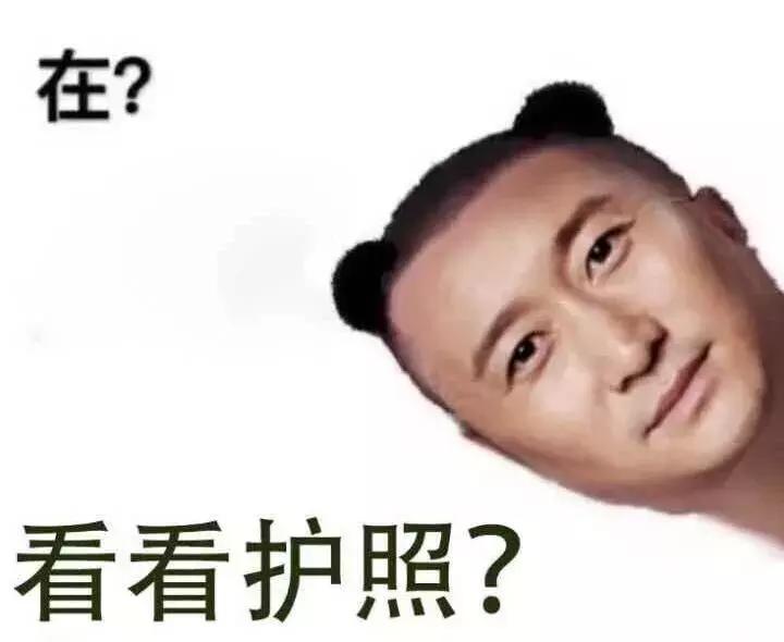 听菠萝的话：有了这些，十一不用出门了