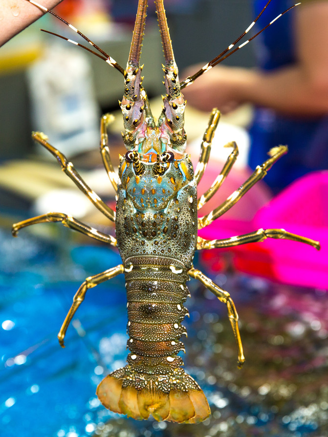 全家人三亚旅游,全家人游海南三亚旅行照片