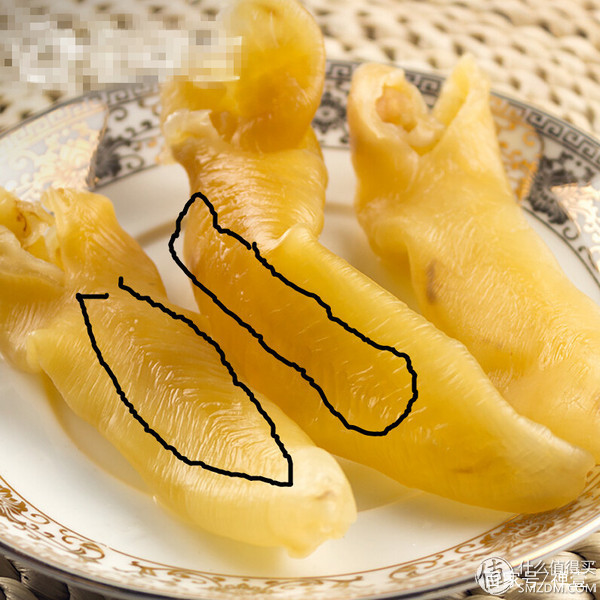 花胶怎么买经济又实惠,海味花胶如何分类