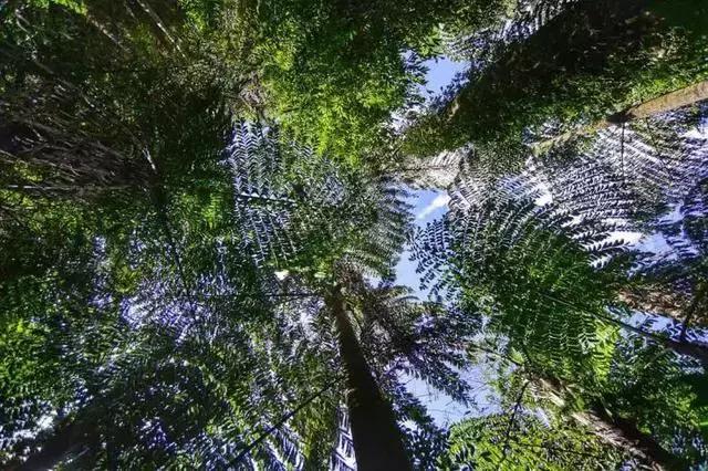 中国最后一个原始部落的真实生活,遗憾中国仅存的原始部落