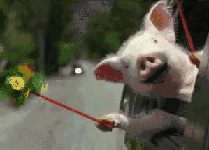 网红洗面奶真的好用,最近那个网红洗面奶真的好用吗