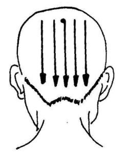 中医刮痧疗法二十一穴,张秀勤教你中医刮痧之面部刮痧