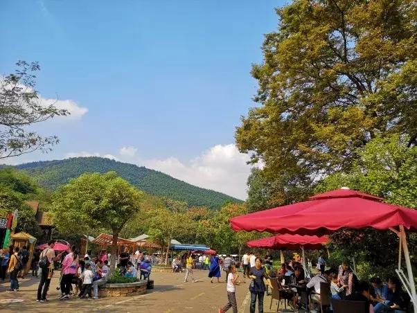 竹海国庆旅游记,竹海风景区国庆节