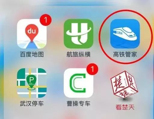 12306显示没票去窗口能买到吗,12306上没票买票软件却有票为什么