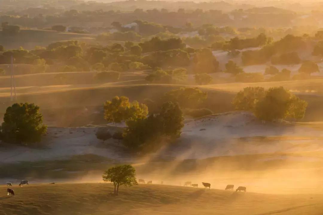 佳能50d60d70d80d价格,佳能50d60d70d80d90d相机的选择