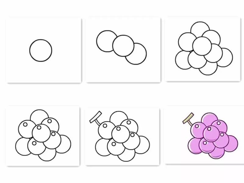 英语水果手抄报简笔画,紫色水果有哪些简笔画