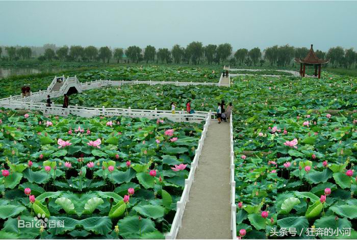 苏北小江南—金湖县，江苏省人口最少的县区，周总理亲笔提名！