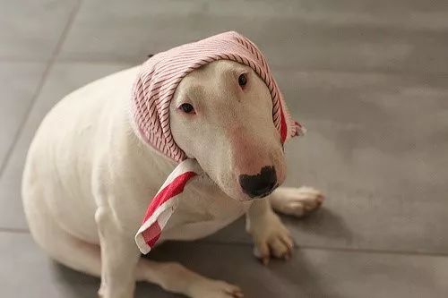 达内童程童美报名,达内童程童美总部在哪