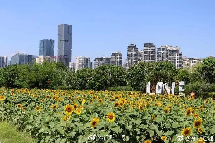 工资新标准将下发你在其中吗 (你的10月份工资条有啥新变化)