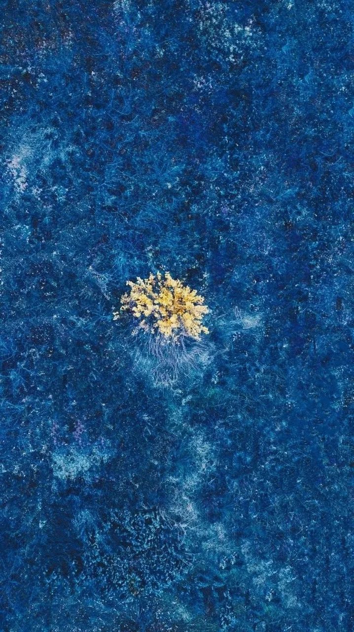 13张风景美图,13张风景照片的模板