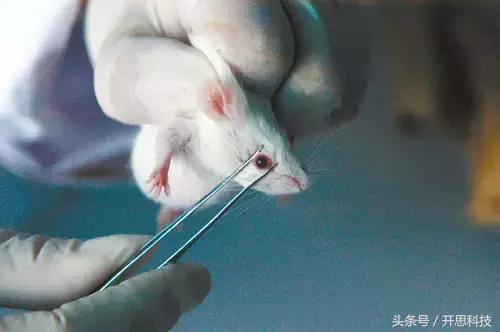 到底是不是智商税用了就知道,究竟是智商税还是真香