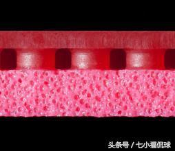 多尼克正手反胶套胶推荐,乒乓套胶f1