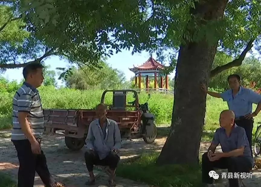 青县道德模范第一届颁奖盛典,第十二届感动蒙城道德模范评选