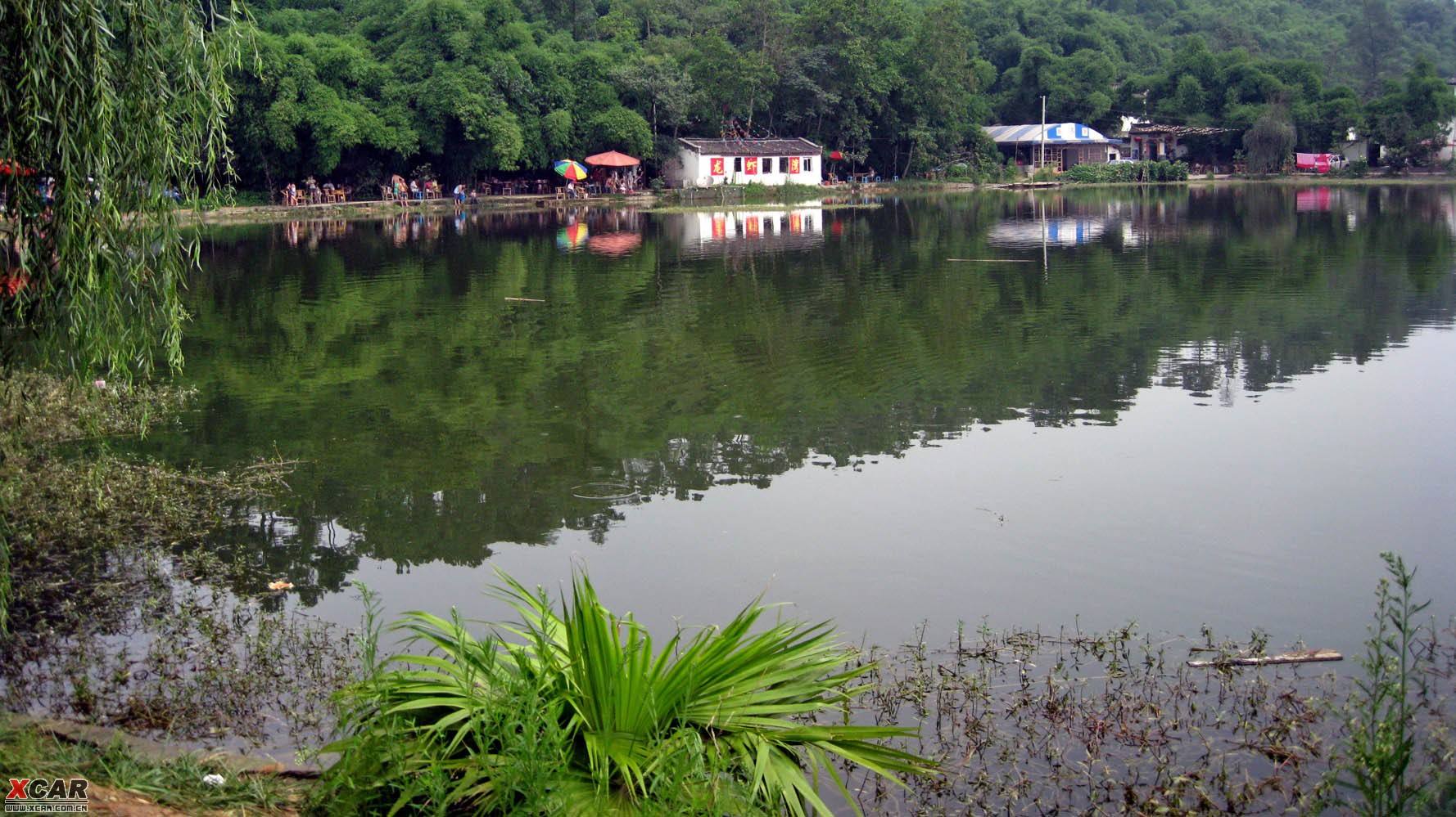 钓鱼时遇到虾闹窝怎么办？很多钓鱼人头痛但是一招可完美解决！